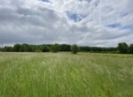 17473812812_VT3601_6_original